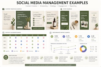 provide marketing and communications support
