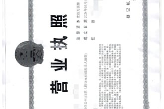 processing of chinese government documents