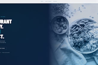 design a stunning landing page for your business in 24 hours