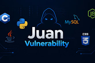 security and vulnerability assessment