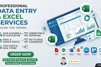 do expert excel data organization, clean up data, and format word documents