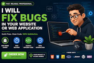 ix wordpress bugs, errors, issues and website problems