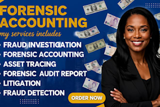fraud examination, asset tracing, financial forensics and due diligence review