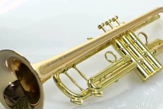 record trombone, saxophone, harmonica trumpet,frenchhorn,cornet,flugelhorn,oboe