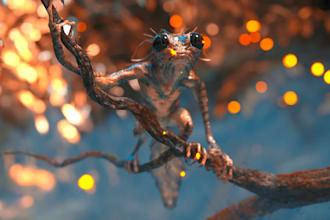 créer vos modeles 3d professionnels sur blender et zbrush