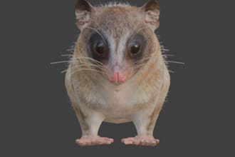 create 3d animal realistic models fur hair grooming xgen blender maya wild model