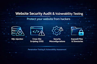 do website security audit and vulnerability report