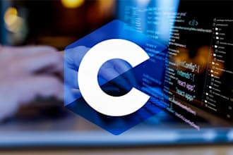 provide expert IT support and software development services