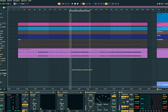 provide professional mixing and mastering and overdup services for instruments