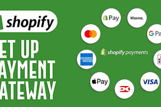 set up shopify payments create ltd or llc and wise business account