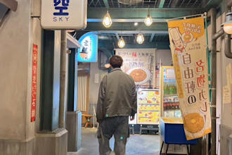 provide highquality english to japanese manual translation