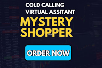 be your professional virtual assitand va cold calling mystery shopper