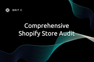 audit your shopify store to increase sales