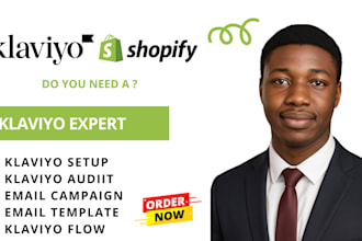 klaviyo setup, klaviyo, klaviyo flows, klaviyo shopify, klaviyo audit