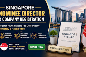 provide singapore nominee director and company registration