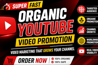 do super fast youtube promotion video promotion and organic video marketing