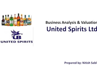 build professional financial models and business valuation in excel