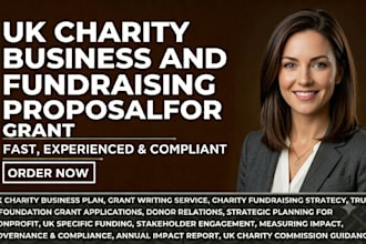 prepare strategic UK fundraising plan and charity funding roadmap