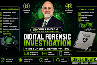 do digital forensic investigation, data recovery, malware analysis with report