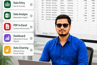 do excel data entry, data cleaning, merge, and dashboards