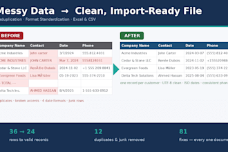 clean, deduplicate and standardize your excel or CSV data