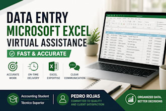 provide accurate data entry and excel support