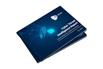 write a professional cybersecurity report