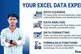 data cleaning, data analysis , data formatting etc