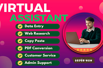 expert data entry and virtual assistant tasks