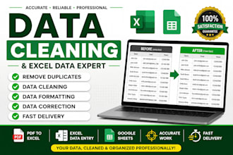 do excel data entry, data formatting and data cleaning