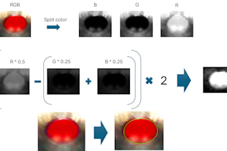 build computer vision for image measurement