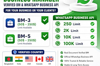 setup and manage meta business manager professionally