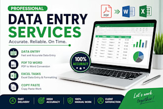 do accurate date entry, typing, copy paste, excel, word work