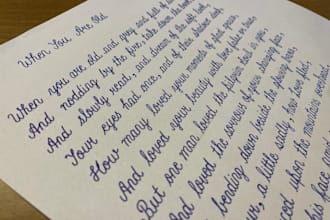 write neat handwritten notes, assignments, and custom works