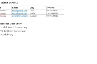 do entry, PDF to word conversion and copy typing