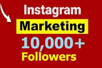 grow up instagram followers organically