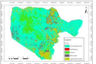 do satellite image processing and land cover classification using gee
