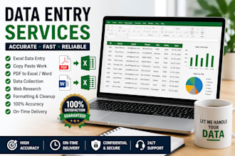 do excel data entry, excel formatting, and spreadsheet work