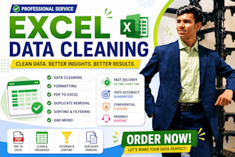 do cleaning, formatting, PDF to excel, duplicate removal