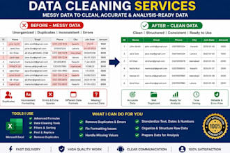 professionally clean messy data and format it