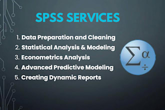 do any project in spss