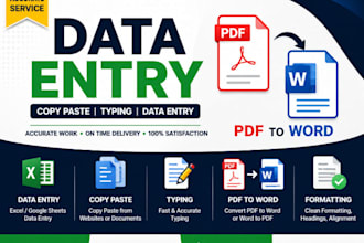 fast data entry service