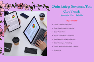 provide fast and accurate data entry services and typing
