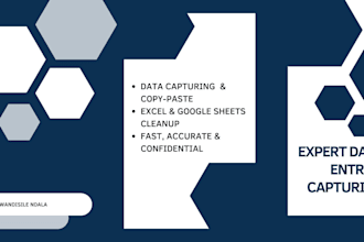do expert data capturing, data entry and excel data clean up