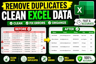 clean excel data, remove duplicates and fix errors