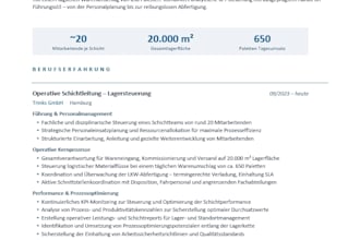 write you a professional german resume and cover letter
