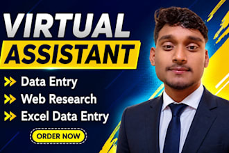 do accurate data entry, web research, copy paste and excel