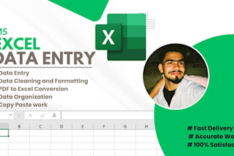 do microsoft excel data entry, cleaning and formatting