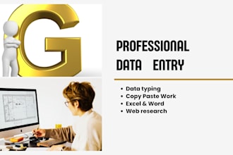 do proffessional excel data entry and web research