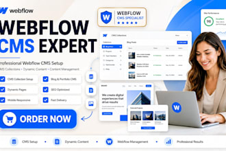 webflow cms setup webflow cms collection  webflow content management